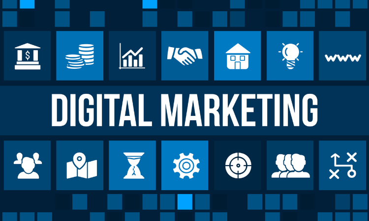 Digital Marketing Services in Hyderabad